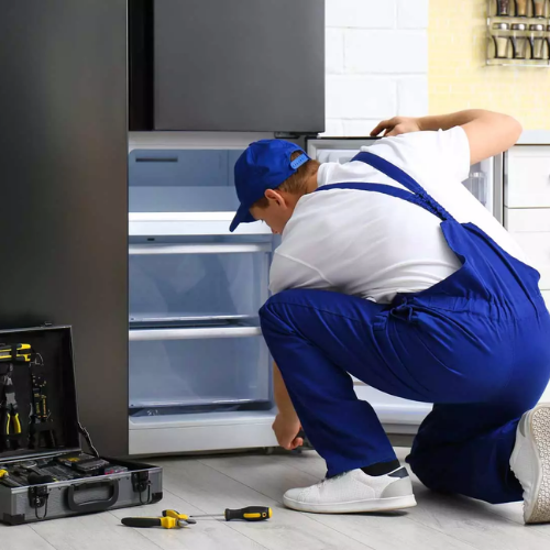 Professional Fridge Repair Service Providers